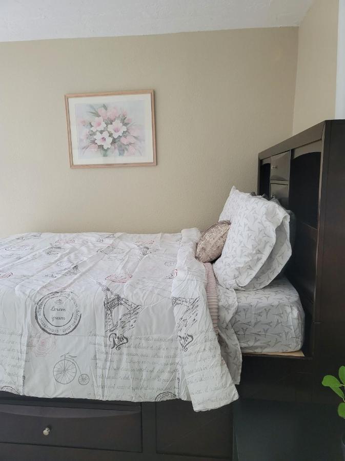 Entire Guesthouse 5 Mins To Siesta Key & Downtown Σεϊρασότα Εξωτερικό φωτογραφία